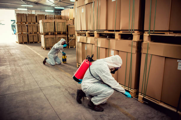 Best Exterminator Services  in Dunmore, PA