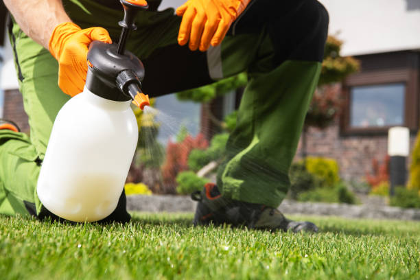 Reliable Dunmore, PA Pest Control Solutions