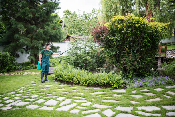 Best Emergency Pest Control  in Dunmore, PA