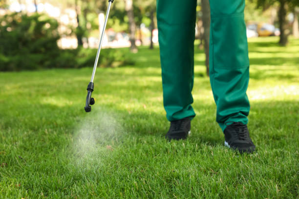 Pest Control Cost in Dunmore, PA