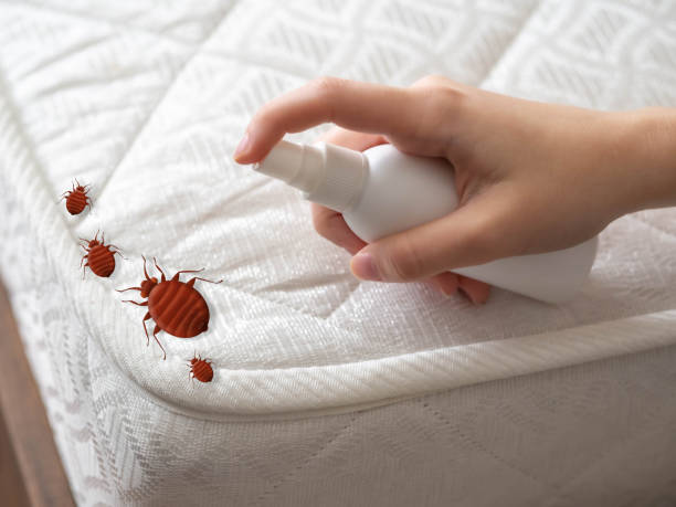 Best Pest Inspection Near Me  in Dunmore, PA